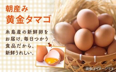 【全12回定期便】糸島の朝産み黄金タマゴ10個 朝どれ新鮮野菜5品 セット【福岡県糸島産】 糸島市 / オーガニックナガミツファーム 玉子 やさい [AGE049]