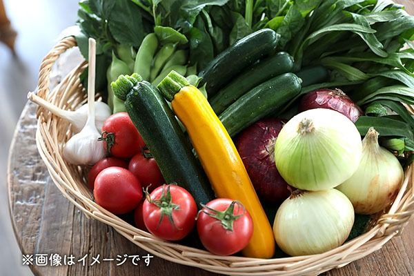 産直直送！季節の野菜と加工品セット【201-013B】