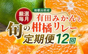 【定期便】厳選 柑橘定期便 S 12回（毎月）※北海道・沖縄・離島への配送不可※毎月発送