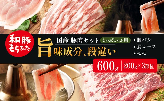 和豚もちぶた お試しセット しゃぶしゃぶ用 600g 200g×3部位 1～2人世帯向け 豚バラ 肩ロース モモ