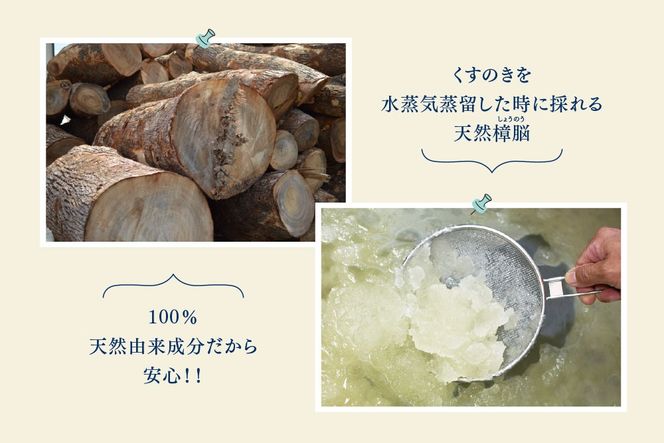 九州のくすのきから生まれたカンフルパウダー 15g×10パック【天然 楠 木 防虫剤 くすのき 衣替え カンフル】(H037108)