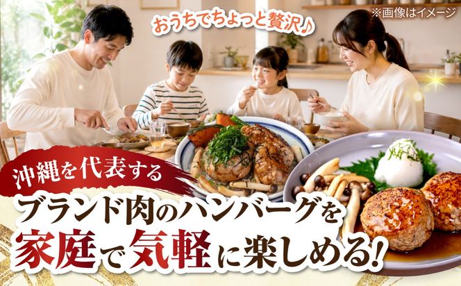 沖縄県産 あぐー豚 ハンバーグセット 800g (100g×8個) 豚 ハンバーグ 冷凍 ギフト お取り寄せ 沖縄市 / お肉屋本店[BCAZ001]