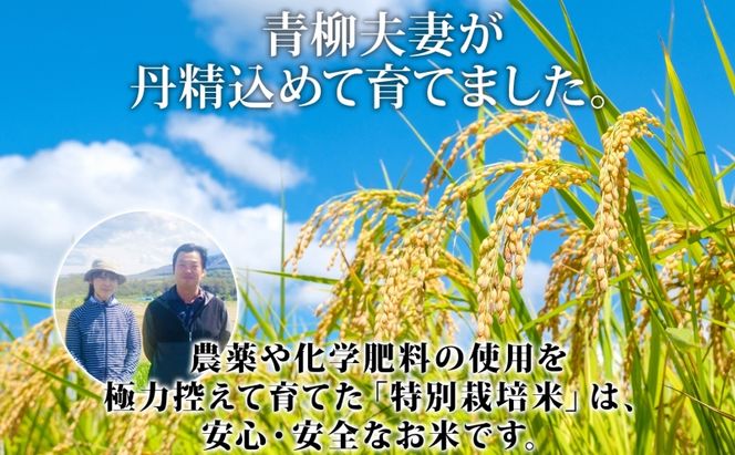 定期便 3ヵ月連続 全3回 北海道 倶知安町産 ゆめぴりか 特別栽培米 精米 5kg 米 特A 白米 お米 道産米 ブランド米 契約農家 ごはん ご飯 もちもち 国産 人気 お取り寄せ ギフト 贈り物 備蓄 