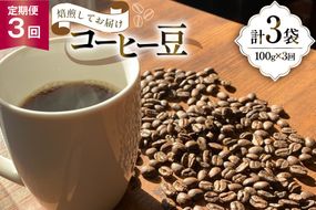 コーヒー豆 3ヶ月 定期便 100g×3 [いち日のはじまり 福岡県 筑紫野市 21761225] コーヒー 珈琲豆 珈琲 豆