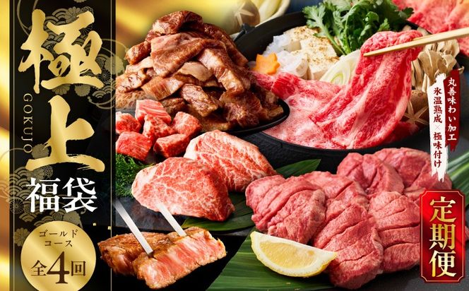 mrzZ031 極上福袋 定期便 ゴールドコース 全4回【5種 食べ比べ 牛肉 ステーキ 牛タン 焼肉 しゃぶしゃぶ すき焼き 氷温熟成×極味付け 毎月配送コース】