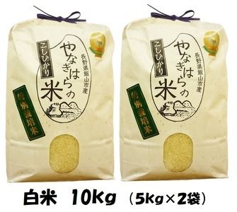 【令和6年産 新米予約】「やなぎはらの米　こしひかり」10㎏ (6-40)