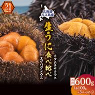 北海道 礼文島産 採れたて 生うに 塩水パック 豪華食べ比べ 600g(バフン・ムラサキ 100g×各3) ミョウバン不使用［株式会社やまじょう］【 うに ウニ 雲丹 生うに 塩水うに バフンウニ ムラサキウニ 贈答 】