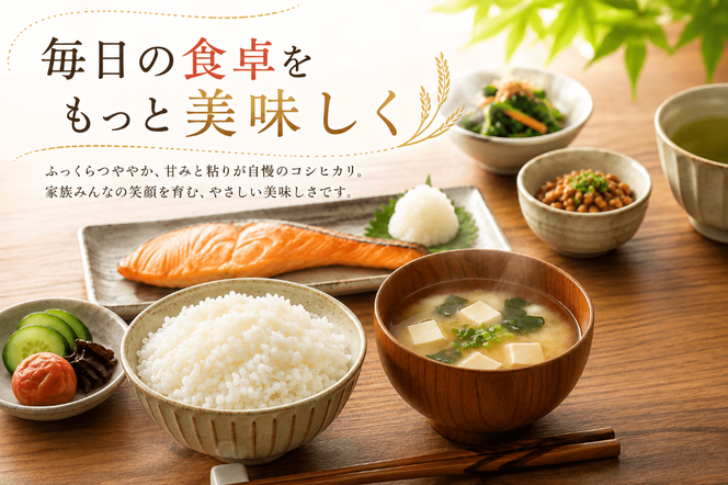 【新米 令和8年度 高知県産 コシヒカリ10㎏】  お米 10kg  コシヒカリ こしひかり お米  国産米 産地直送 家庭用 お取り寄せ 贈答 ギフト 贈り物  高知県 室戸市