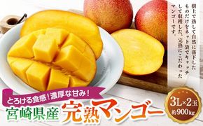 ＜宮崎県産完熟マンゴー 3L×2玉（約900g）＞2026年4月中旬～7月下旬までに順次出荷【c1393_mm_x1】 果物 くだもの フルーツ アーウィン マンゴー デザート 甘味 完熟 宮崎