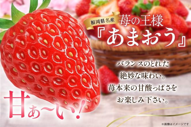【期間限定発送】 いちご 春の苺 あまおう 4パック [南国フルーツ 福岡県 筑紫野市 21760096] いちご 苺 イチゴ フルーツ 果物 期間限定 季節限定 福岡県産 甘い 