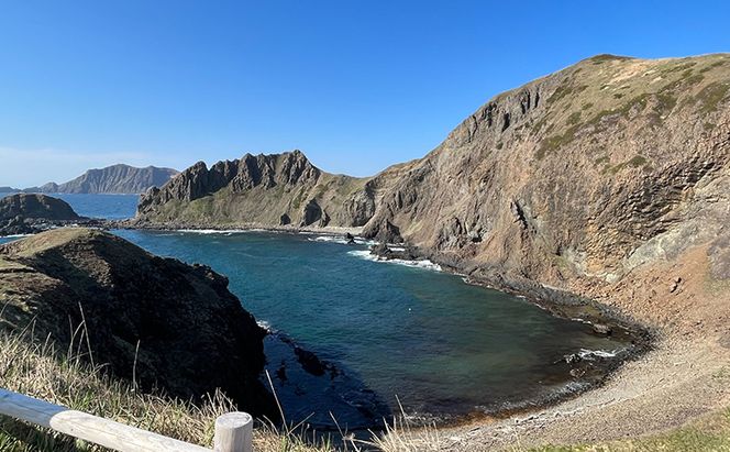 北海道 礼文島産 極上の旨み 昆布〆バフンウニ 100g×2パック (計200g)［Dining cafe 海］【 うに ウニ 雲丹 昆布〆 バフンウニ 珍味 おつまみ 酒の肴 ご飯のお供 絶品 贈答 ギフト 】