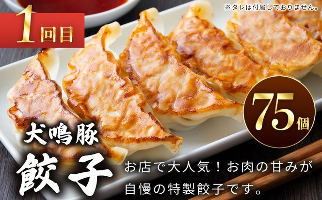 099Z558 【泉佐野ブランド豚】犬鳴豚餃子 75個／手作りプレミアムハンバーグ（10個入り） 全2回【国産 豚肉 ぶたにく 定期便 食べ比べ 犬鳴ポーク 焼くだけ 人気 総菜 冷凍】