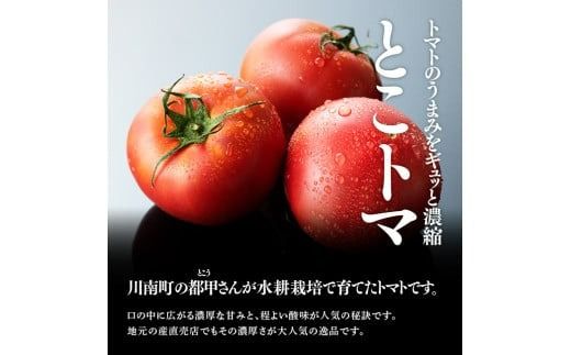 宮崎県産トマト　とこうさんのトマト1kg（9～18個） 【 宮崎県産 九州産 川南町産 トマト とまと 野菜 ヘルシー】 [C06601]