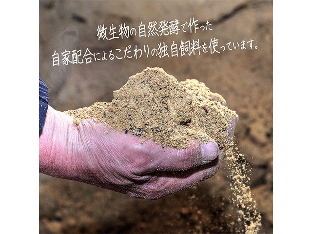 熟成豚肉 フレンチ和風どんぶり 友情のりんご使用 4個 セット 詰め合わせ 長谷川自然牧場 レストラン山崎 冷凍 加工肉 加工品 豚 豚肉 お肉 肉 おつまみ つまみ 惣菜 おかず 夕飯 温めるだけ 簡単調理 熟成豚 青森 青森県 鯵ヶ沢町