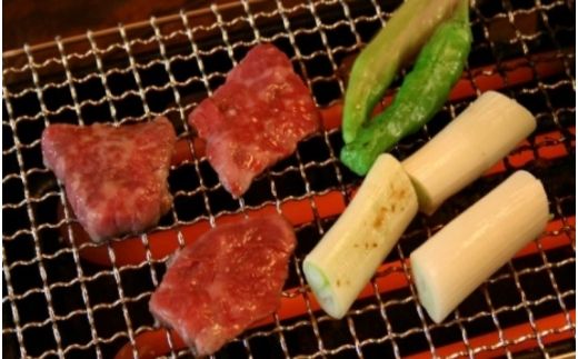 伊賀焼 あぶり名人 長角型（シーズヒーターコンロ）【ngtn0042】