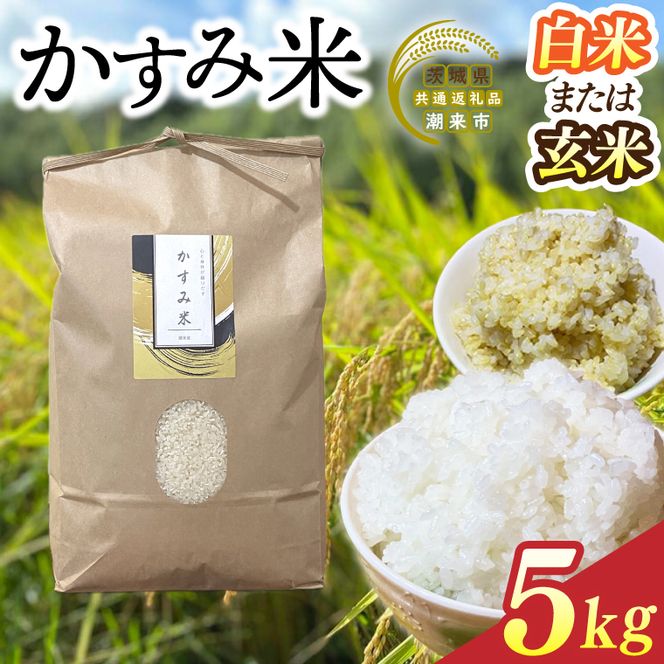 【2026年9月下旬より順次発送】★新米★R8年産 かすみ米 5kg(白米または玄米)【茨城県共通返礼品/潮来市】｜米 お米 新米 こめ かすみ米 5kg 白米 玄米 共通返礼品 茨城県共通返礼品 数量限定 先行予約 人気 送料無料(BI-88)