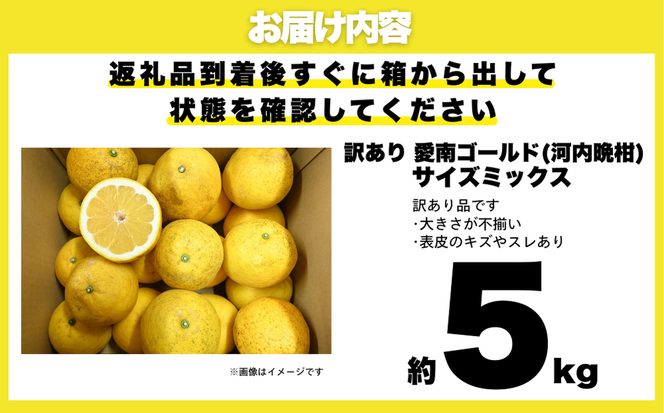 【 先行予約 】 訳あり 減農薬 愛南ゴールド 河内晩柑 5kg サイズ ミックス 家庭用 産直 農家直送 和製 グレープフルーツ 家庭用 甘い 爽やか 瑞々しい ジューシー 濃厚 旨味 酸味 旬 初夏 柑橘 みかん 蜜柑 不揃い サイズ混合 フレッシュジュース ジュース ゼリー ジャム マーマレード デザート 焼酎割り サワー 先行予約 予約受付 期間限定 数量限定 愛媛県 愛南町 愛南フルーツ