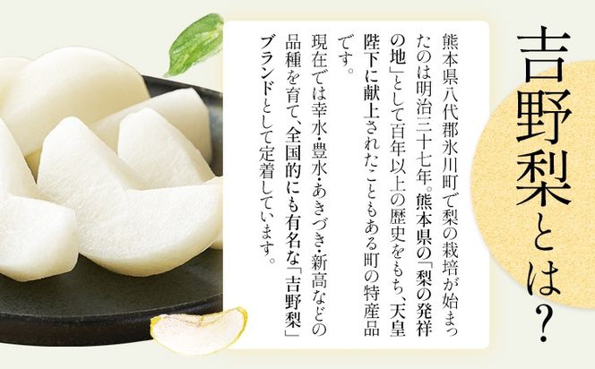 【2026年先行予約】熊本県氷川町産 吉野梨 品種おまかせ 約2kg 約3kg 約4kg(2～16玉前後) 《8月上旬-9月末頃出荷》---hkw_lcl_251_2kg---