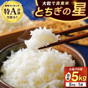 ＼先行予約・11月より順次発送・令和8年産／山﨑観光農園のお米　とちぎの星　白米5kg｜栃木県 益子町 ふるさと納税 お米 米 白米 精米 令和8年 5kg（AU023-ss-11）