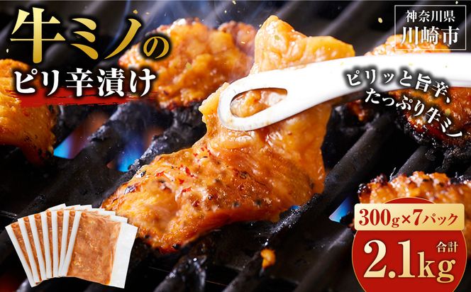 牛ミノ ピリ辛漬け 2.1kg ( 300g × 7パック ) 小分け 個包装 便利 牛肉 ホルモン ミノ 焼肉 焼き肉 お肉 肉 焼くだけ 冷凍 たれ 味付き BBQ アウトドア キャンプ 人気 おすすめ 神奈川 川崎【12月発送】【kw0096-0021-12】