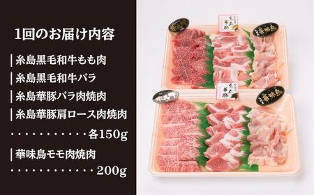 【全3回定期便】焼肉・バーベキュー セット 計800g 牛モモ 牛バラ 豚バラ 豚肩ロース 鶏もも肉 糸島市 / 糸島ミートデリ工房 [ACA272]