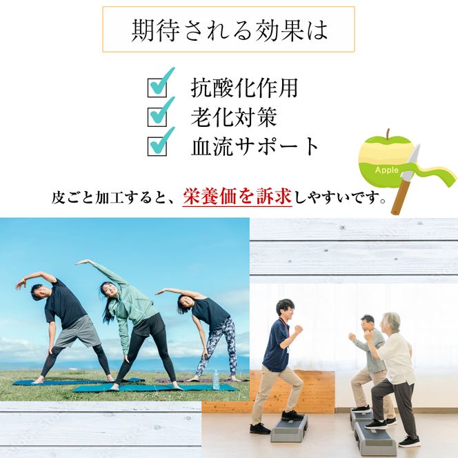 北海道余市産ドライりんご ５種類セット 食物繊維・ポリフェノール豊富 砂糖不使用 腸活 おやつ 国産無添加 りんごチップス_Y161-0001