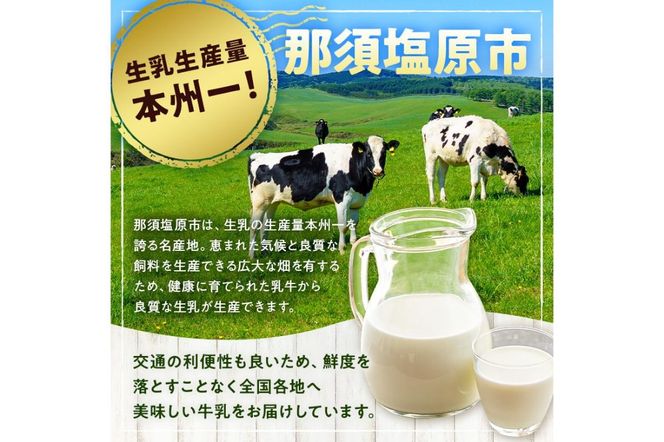 ns026-002 パスチャライズド牛乳「那須塩原」200ml×6本セット