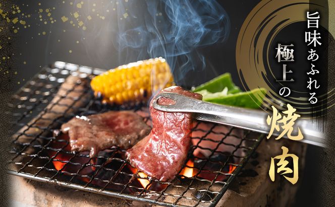 お中元 神戸牛 焼肉 食べ比べ Bセット 計1000g 肩 もも