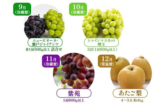 ぶどう 梨 定期便 2026年 先行予約 フルーツ王国 岡山を堪能 4回コース 秋・冬物語 葡萄 ぶどう 梨 なし 岡山県産 国産 果物 セット ギフト