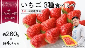 【 先行予約 】いちご 3種 食べ比べセット（4パック×1箱)【 2026年1月から発送開始 】 ( 茨城県共通返礼品 : 常陸太田市 ) 約 260g × 4パック いばらキッス ひたち姫 やよいひめ から 厳選して お届け 数量限定 果物 くだもの フルーツ 苺 イチゴ 期間限定 [ES003us]