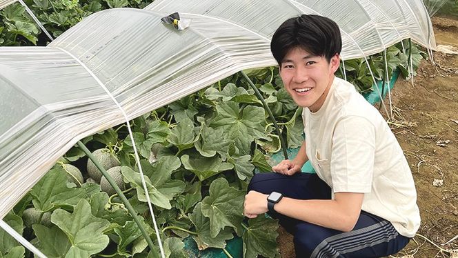 【 先行予約 2026年6月中旬 以降発送】 令和8年産 八千代町産 タカミメロン 優以上 1箱 （ 2玉 入り） 期間限定 産地直送 果物 フルーツ メロン 甘い [CL003ya]