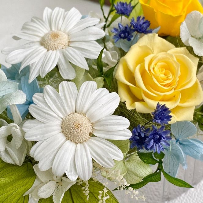 プリザーブドフラワー　ピュール　春日部市　シュガーパイン(AJ246)