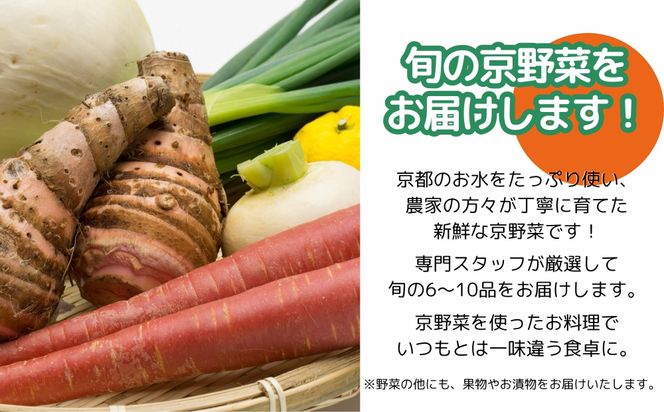【エーコープ京都中央】おまかせ京野菜セット［ 京都 野菜 新鮮 人気 おすすめ 美味しい 旬の野菜 上賀茂野菜 スタッフ厳選 詰め合わせ お取り寄せ 通販 送料無料 ふるさと納税 ］ 261009_B-WB08