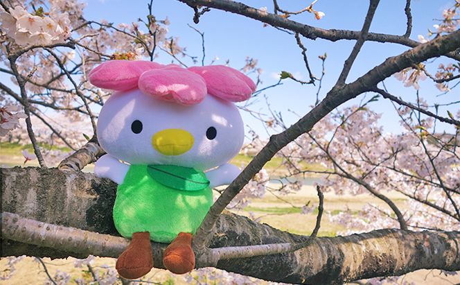 大河原町観光PRキャラクター「さくらっきー」ぬいぐるみ20cm 雑貨 観光地 小物 