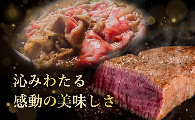 【2025年11月以降順次発送】希少な特選石垣牛をご家庭で！！肉の旨味あふれる赤身（モモ、ランプ）ステーキと肩ロースしゃぶしゃぶ用の食べ比べセット　合計500g