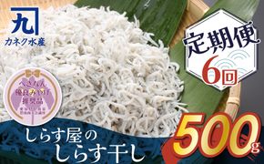 しらす屋のしらす干し 500ｇ×6ヶ月 定期便 【へきなん優良みやげ推奨品】 H006-107
