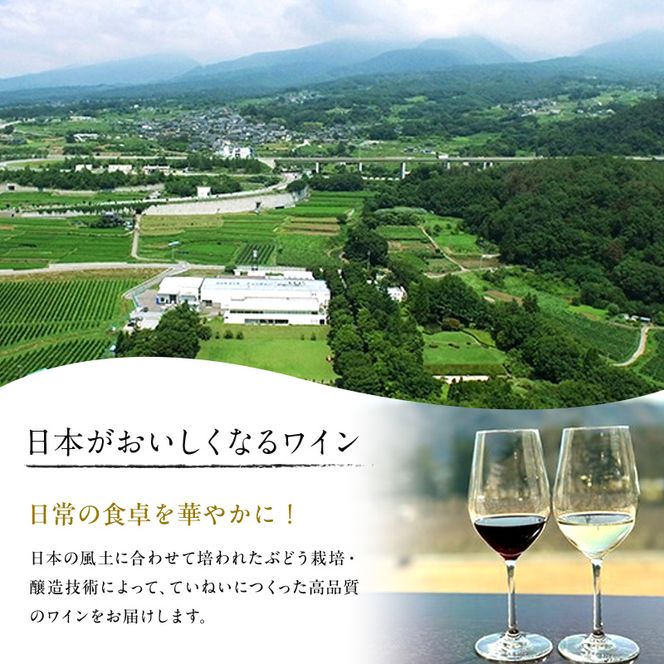 マンズワイン ソラリス ル・シエル 6本 白ワイン