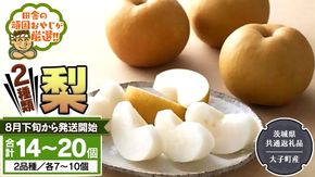 梨 2種 セット 【2026年8月下旬より発送開始】 （茨城県共通返礼品 [梨]：大子町産） 田舎の頑固おやじが厳選！
