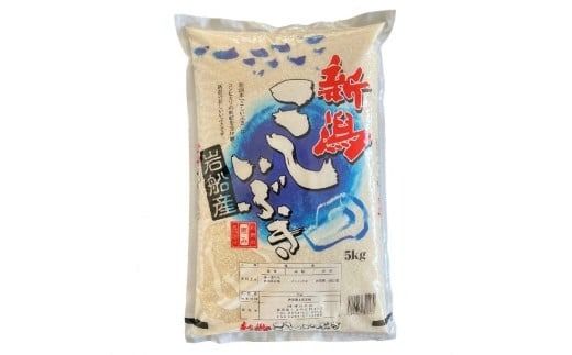 【令和7年産米】新潟県村上市産 こしいぶき 5kg×1袋 精米 1033003