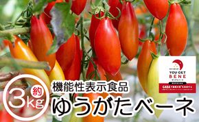 【先行受付】機能性表示食品 ミニトマト ゆうがたベーネ 3kg - ミニトマト プチトマト フルーツトマト ギフト のし対応 高糖度 お歳暮 御歳暮 贈答用 贈り物 is-0015