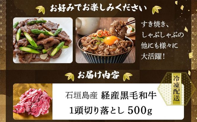石垣島産経産黒毛和牛 1頭切り落とし 500g