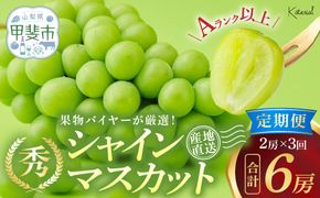 【来年（2026年/令和8年）発送＜先行予約＞】定期便 シャインマスカット 2房 約1.3㎏×3回 先行予約 先行 予約 山梨県産 国産 産地直送 人気 おすすめ 贈答 ギフト お取り寄せ フルーツ 果物 くだもの ぶどう ブドウ 葡萄 シャイン シャインマスカット 新鮮 甘い 皮ごと 山梨 甲斐市 AD-248