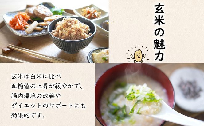 【令和7年産】米 玄米 コシヒカリ 5kg(5kg×1袋) 国産 ご飯 茨城県 境町産 人気 S278