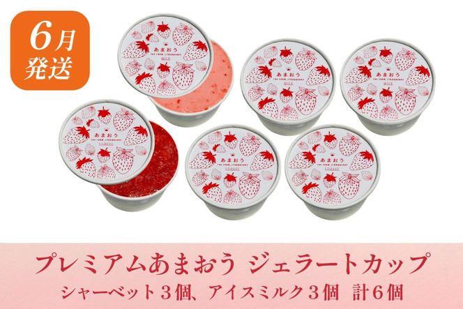いちご あまおう 満喫セット 3回 定期便 [THE FARM_strawberry 福岡県 宇美町 um40azo780015] 苺 イチゴ 冷凍いちご 冷凍あまおう 甘い あまい アイス ジェラート シャーベット フルーツ 果物