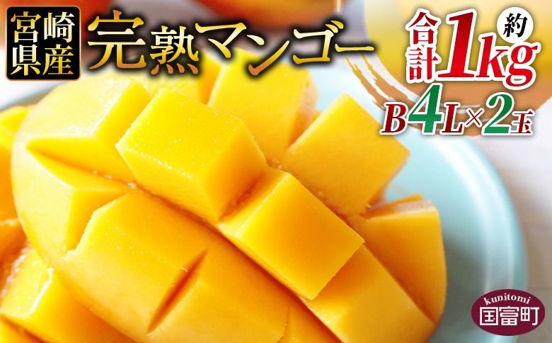 [宮崎県産 完熟マンゴー B等級 B4Lサイズ×2玉(合計約1kg)]2026年4月上旬〜6月末迄に順次出荷[ 完熟マンゴー 完熟 マンゴー フルーツ 果物 くだもの おいしい 美味しい 甘い あまい ご家庭用 家庭用 ご褒美 ][b0911_ja]