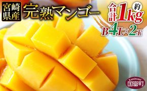 ＜宮崎県産 完熟マンゴー B等級 B4Lサイズ×2玉（合計約1kg）＞2026年4月上旬～6月末迄に順次出荷【 完熟マンゴー 完熟 マンゴー フルーツ 果物 くだもの おいしい 美味しい 甘い あまい ご家庭用 家庭用　ご褒美 】【b0911_ja】