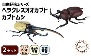 模型 昆虫 自由研究シリーズセット ヘラクレスオオカブト カブトムシ 2セット 玩具 ホビー 夏休み 虫 ヘラクレス フジミ 静岡県 藤枝市