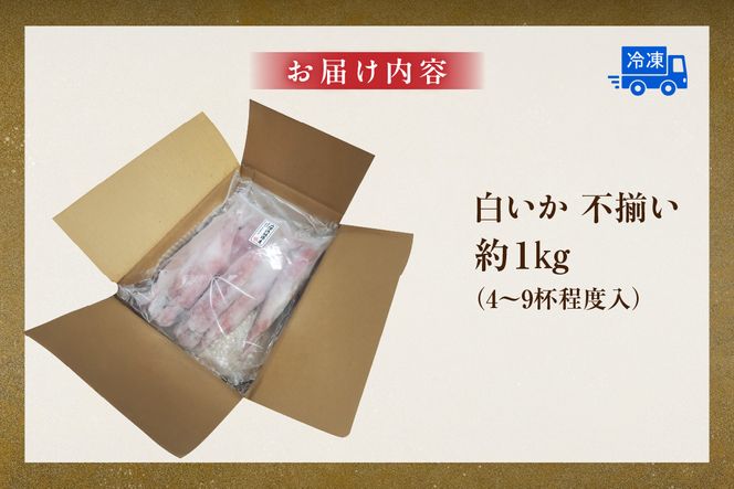 【白イカ 約1kg（4-9杯程度入）サイズ不揃い 冷凍】 国産 新鮮 バラ凍結 鮮度抜群 サイズいろいろ 大小さまざま いか イカ 白いか 白イカ 大人気 おすすめ 返礼品 ふるさと納税 兵庫県 香美町 香住 山米鮮魚 74-31