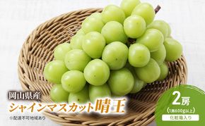ぶどう 2026年 先行予約 シャインマスカット晴王 2房(1房600g以上) 化粧箱入り ブドウ 葡萄 岡山県産 国産 フルーツ 果物 ギフト 