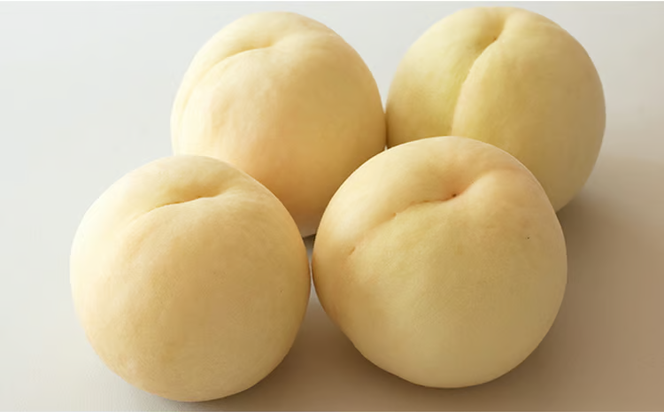 桃 2026年 先行予約 井頭 白桃 4～6玉入り 1.5kg規格箱 もも モモ 岡山県産 国産 フルーツ 果物 ギフト 井頭栄果園 [№5735-1143]